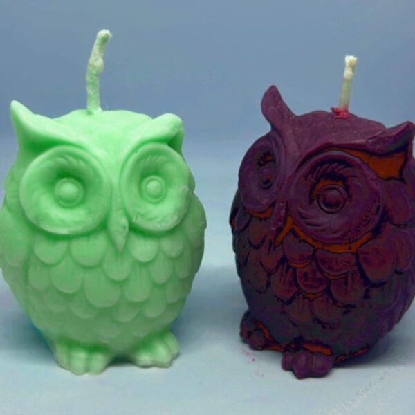 Twilight Owl - Image 2