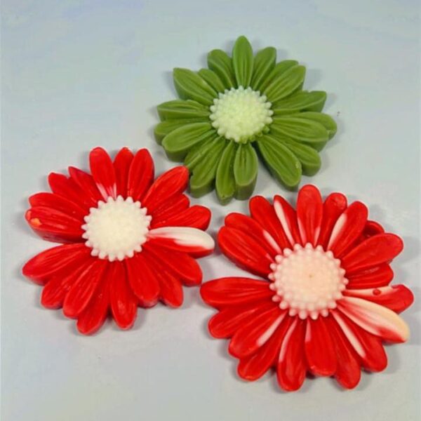 Wax flora - Image 3