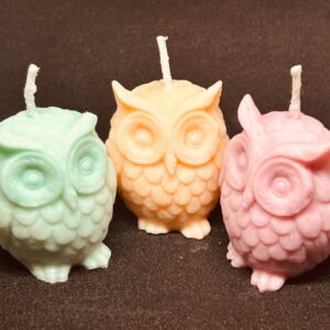 Twilight Owl