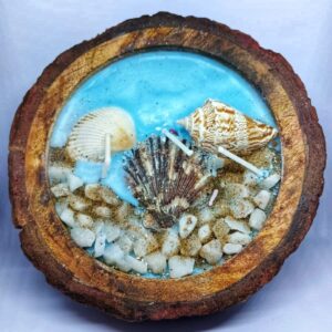 Salt & Shore