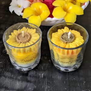 Daisy in Glass