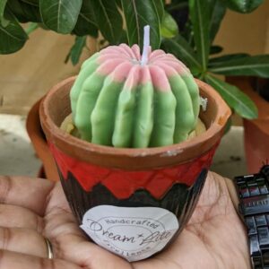 Cactus Single