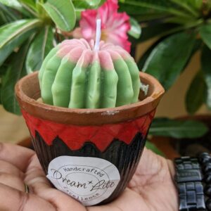 Cactus Single